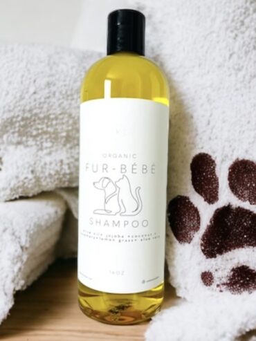 Cool Concoction’s all Natural Pet Shampoo (Dogs & Cats)