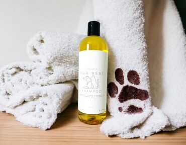 Cool Concoction’s all Natural Pet Shampoo (Dogs & Cats)